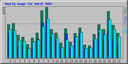 Hourly usage for March 2021