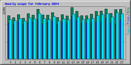 Hourly usage for February 2024