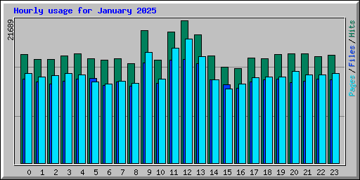 Hourly usage for January 2025