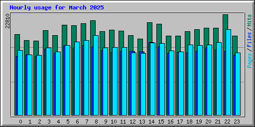 Hourly usage for March 2025