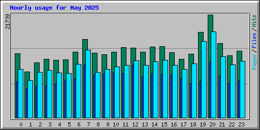 Hourly usage for May 2025