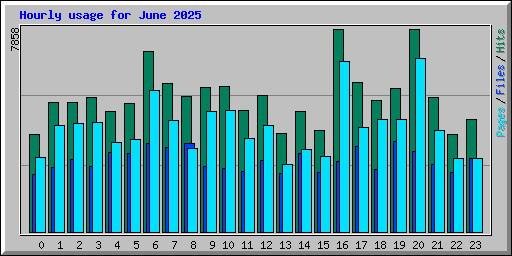 Hourly usage for June 2025