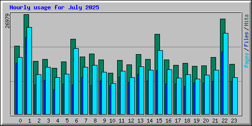 Hourly usage for July 2025